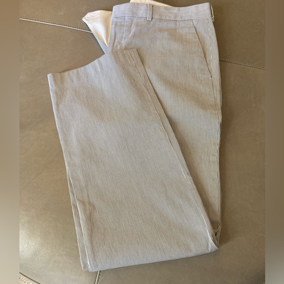 Express Other - Express Men's Gray Striped Pants
